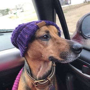 Meet your Posher, Haley